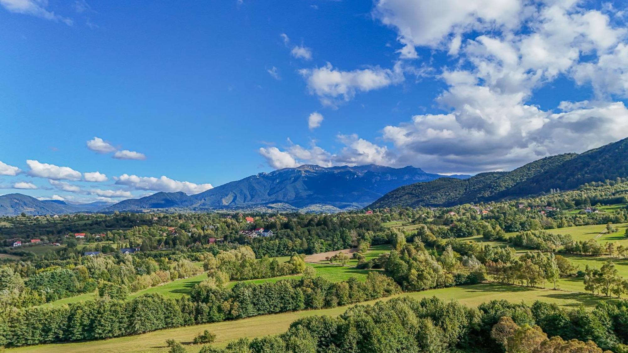 Cabana Timbernest Bran  Zewnętrze zdjęcie