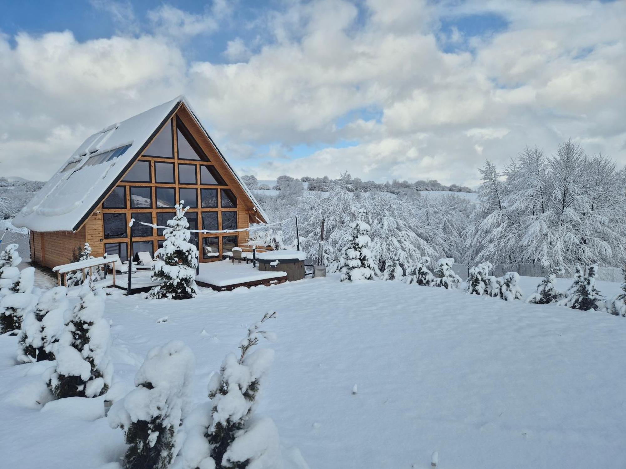 Cabana Timbernest Bran  Zewnętrze zdjęcie
